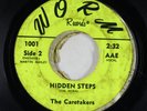 Garage Fuzz 45 - Caretakers - Hidden Steps - Worm - obscure