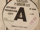 Dee Dee sharp i really love you uk original demo 45 record