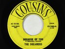 Doo-Wop Rocker 45 - Dreamers - Because Of You - Cousins
