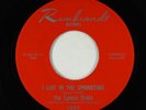 Garage 45 - Lemon Drops - I Live In The Springtime - Rembrandt - rare 1st  VG+
