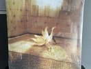 Keo Siren Vinyl SEALED