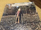 The Allman Brothers Band:Brothers And Sisters Capricorn LP Gatefold 1973 W/ Ins.