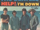 BEATLES--PICTURE SLEEVE ONLY---(HELP)--PS--PIC--SLV