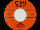 Rock & Roll Inst. 45 - Bobby Dillard & Catalinas - Spider - Chi - VG++ obscure