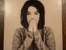 Björk - Debut - 12