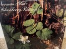 Original Flying Fish Records Norman Blake 'Blackberry Blossom' NM- Play Tested