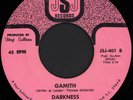 GAMITH Darkness / Don't Change Me 45 JSJ Records Rare 70s SC Funk Soul