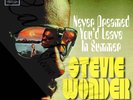 70S SOUL POP TAMLA MOTOWN STEVIE WONDER NEVER DREAMED YOU'D LEAVE PICTURE SLEEVE