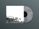 HOT DREAMS (COLOURED VINYL) by Timber Timbre [VINYL]