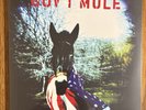 GOV’T MULE S/T Self Titled Debut Record 2LP Vinyl NEW SEALED Album RARE