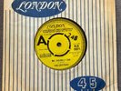 THE CRITTERS - MR. DIEINGLY SAD rare UK 1966 DEMO PROMO / GARAGE / PSYCH / EX+