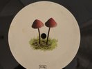 Mushroom Jazz 2  - DJ Mark Farina 2x12” Vinyl LP – Used – OM Records