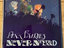 Pink Fairies - Never Never Land - Very Rare Plastic Sleeve. 1st Press EX+/EX