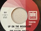 FALLEN ANGELS Up On The Mountain / So Young So Fine Tollie PROMO Doo-Wop 45 HEAR