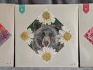 3 New And Exclusive Live Vinyl Records From The National Cherry Tree Member Only