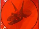 Alice in Chains – The Devil Put Dinosaurs Here | 2×LP Picture Disc | Vinyl