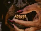 Leon Thomas MUTT Deluxe: Heel (Vinyl) 12
