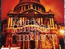 Paris Angels - Sundew Vinyl LP Sheerjoy/Virgin 1991 VG+/VG+
