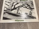 Green Day 39/Smooth vinyl