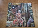 SIGNED BRUCE DICKINSON 1980s VG++ COVER ONLY Iron Maiden Somewhere In Time NO LP