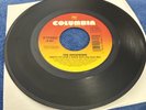 Rock 45 OFFSPRING Pretty Fly (For A White Guy) COLUMBIA 7” Record Vinyl