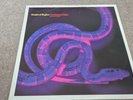 Shades Of Rhythm - The Sound Of Eden (Every Time I See Her) - 1991 ZTT-ZANG 22T