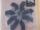 Ghost BC B C Rats 2018 US limited edition shaped 7