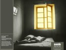 Suede Dog Man Star (Half-speed Master) (Vinyl) 30th Anniversary  12