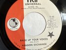 ARAGON EXCHANGE   BOAT MASTER / RAISE UP VOICES  Rare MIAMI FUNK PSYCH BREAKS 45