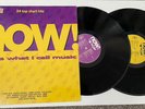 Various – Now That's What I Call Music  19 Double Vinyl LP 1991