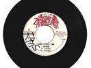 AL CAMPBELL / GONE DOWN THE DRAIN / VERSION / 7''