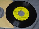 AUCTION FOR BLINDILLUSION  45 Record - Georgia Garage Rock N Roll on Beaumont