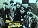 The Animals - The Animals Are Back (VINYL)