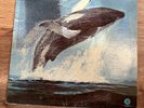 Songs of the Humpback Whale Vinyl LP Vintage 1970 Capitol Records Stereo ST-620