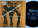 REPARATA & THE DELRONS Toom Toom NORWAY 45 girl group Captain Of Your Ship HEAR