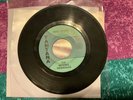 The Moving Sidewalks 45 99TH Floor Garage Rock ZZ Top Play Tested Tantara