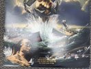 SALTY DOG Every Dog Has Its Day Vinyl LP 1990