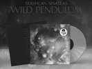 Trashcan Sinatras Wild Pendulum (RSD 2024) (Vinyl)