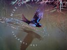 Mike Oldfield - The Complete Mike Oldfield, 2xLP, (Vinyl)