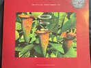 Vinyl Record Artificial Intelligence II Double LP Techno Warp 1994 12