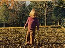 ALLMAN BROTHERS BAND - Brothers and Sisters Vinyl LP. New and Unplayed