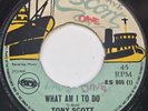 45 ROCKSTEADY / TONY SCOTT / WHAT AM I TO DO / ESCORT / LISTEN