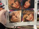 Poison, Look What The Cat Dragged In, 180 GRAM VINYL LP,  FRIDAY MUSIC SEALED
