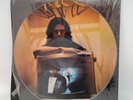 Jim Morrison ‎The End Vinyl 12