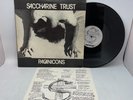 Saccharine Trust ‎Paganicons Vinyl LP OG US 1981 45RPM Press VG+/VG+ Punk SST