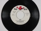 Ellie Greenwich BABY b/w YOU DON'T KNOW 45 rpm - PROMO - 1965 Red Bird Records