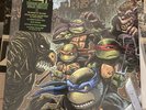 Teenage Mutant Ninja Turtles 2 Ooze Variant Vinyl LP Waxwork NEW