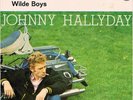 45 T vinyle 7' GERMANY JOHNNY HALLYDAY das alte haus in N.O / wilde boys