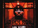 Black Rob - Life Story (2xLP, Album) (Very Good Plus (VG+))