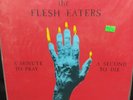 THE FLESH EATERS A MINUTE TO PRAY A SECOND TO DIE VINYL LP